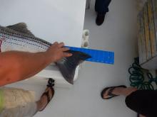 2017 Rock Fishing Trip