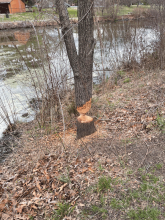 2022 Spring Fishing Rodeo Img 10